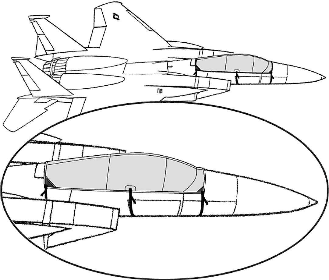 F15 Canopy Cover