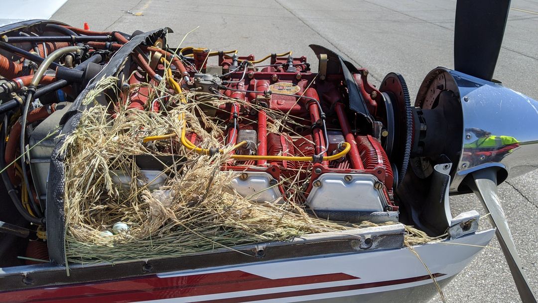 ENGINE PLUGS PREVENT BIRD NEST FOD. Piper Saratoga Engine Cowling Bird's Nest